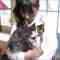 181228 NMB48 no Pokupoku Hyakkei Mogumogu Tabi (HD).mp4