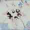 AKB48 46th Single Coupling (Shimazaki Haruka) – Better.mp4