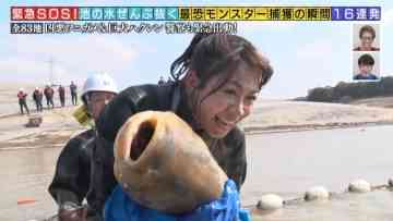 Screenshot_6