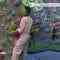 Screenshot_3