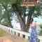 Screenshot_7