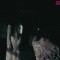 Screenshot-00009