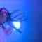 201117 SKE48 Theater Performance 1800 – HD.mp4