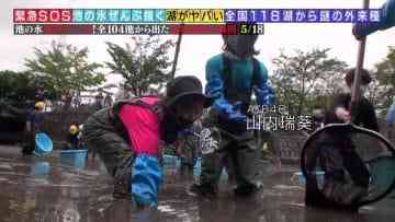 210214 Kinkyu SOS! Ike no Mizu Zenbu Nuku Dai Sakusen – AKB48 Oya Shizuka, Yamauchi Mizuki – HD.mp4-00001