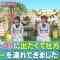 210311 Doubutsu Peace!! SP – Hinatazaka46 – HD.mp4-00004