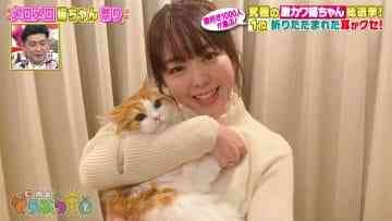 210319 Sakagami Dobutsu Oukoku – AKB48 Minegishi Minami – HD.mp4-00011