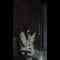 Screenshot_1