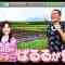210501 Local Route Bus VS Rail Transit Confrontation Trip 5 Hokkaido – ex-AKB48 Shimazaki Haruka – HD.mp4-00001