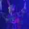 210504 NMB48 Theater Perfromance 1800 – HD.mp4