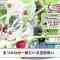210504 NONSTOP! – ex-AKB48 Takahashi Minami, Maeda Atsuko – HD.mp4-00004