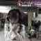 210508 Geinoujin ga Honki de Kangaeta! Dokkiri GP 2Hours SP – AKB48 Minegishi Minami, Mukaichi Mion – Cut – HD.mp4-00001
