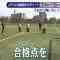 210509 HKT Seishun Taiiku-bu! – HD.mp4-00007