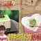 210515 Zeroichi – ex-HKT48 Sashihara Rino & =LOVE – HD.mp4-00002