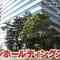 210524 THE Meimonkou Nippon Zenkoku Sugoi Gakkou Meikan – AKB48 Oguri Yui – HD.mp4-00006
