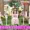 210603 Doubutsu Peace!! SP – Hinatazaka46 Kato Shiho, Sasaki Mirei, Takamoto Ayaka, Higashimura Mei – HD.mp4-00004