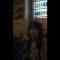 Screenshot_1