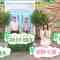 210705 Sekai Marumie! TV Tokusoubu Surprising Ending SP! – ex-Nogizaka46 Nishino Nanase – HD.mp4-00010