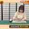 210713 Geinoukai Joushiki Check! ~Toriniku-tte Nan no Niku!~ – AKB48 Kashiwagi Yuki & NMB48 Shibuya Nagisa – HD.mp4-00007