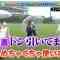210724 Local Route Bus VS Rail Transit Confrontation Trip 9 – SKE48 Suda Akari – HD.mp4-00003