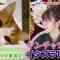 210729 Waraeru! Nakeru! Doubutsu Scoop 100 Renpatsu – ex-AKB48 Minegishi Minami – HD.mp4-00010
