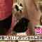 210808 Sekai Fushigi Douga Matsuri – Nogizaka46 Tamura Mayu – HD.mp4-00001
