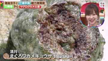 210814 Zeroichi – ex-HKT48 Sashihara Rino – HD.mp4-00003