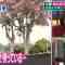 210818 Aitsu Ima Nani Shiteru – ex-Nogizaka46 Hori Miona – HD.mp4-00008