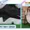 210908 ZIP! – Hinatazaka46 Hamagishi Hiyori Cut – HD.mp4-00002
