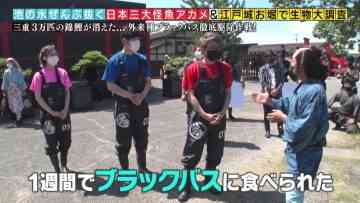 210912 Kinkyu SOS! Ike no Mizu Zenbu Nuku Dai Sakusen – AKB48 Oya Shizuka – HD.mp4-00017