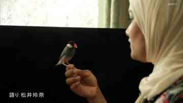210926 FACES Ijime wo Koete 30min. – ex-SKE48 Matsui Rena – HD.mp4-00011