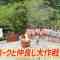 210927 Ikonoi, Dou Desu ka – ＝LOVE & ≠ME – HD.mp4-00021