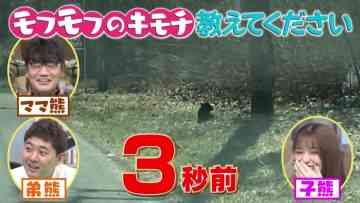 211010 Geki Kawa Mofumofu 91 Renpatsu! ~Doubutsu no Kimochi ga Wakaru Mori 4~ – ex-Nogizaka46 Matsumura Sayuri – HD.mp4-00014
