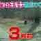 211010 Geki Kawa Mofumofu 91 Renpatsu! ~Doubutsu no Kimochi ga Wakaru Mori 4~ – ex-Nogizaka46 Matsumura Sayuri – HD.mp4-00014