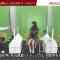 211012 Gobu Gobu – Nogizaka46 Akimoto Manatsu, Yoda Yuki – HD.mp4-00002