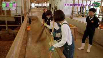 211028 Nogizaka46 to Issho ni Kuni Shoukokusan wo Manabou! – Nogizaka46 Seimiya Rei, Hayakawa Seira – FHD.mp4-00006