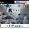 211103 Hinatazaka46 ‘s TV News – THE TIME – HD.mp4-00001