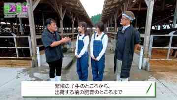 211108 Nogizaka46 to Issho ni Kuni Shoukokusan wo Manabou! – Nogizaka46 Seimiya Rei, Hayakawa Seira – FHD.mp4-00005