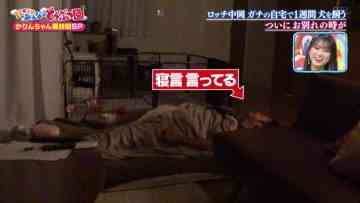 211120 I LOVE Minna no Doubutsuen – HKT48 Yabuki Nako – HD.mp4-00001