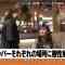 211122 100! Api~ru-chan – ex-HKT48 Sashihara Rino & NMB48 Shibuya Nagisa – HD.mp4-00008