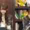 211124 Nekojita SHOWROOM – Nogizaka46 – HD.mp4-00009