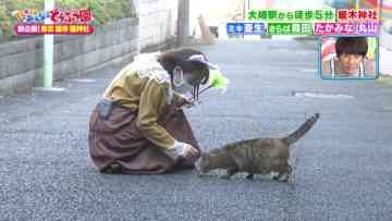 211127 I LOVE Minna no Doubutsuen – ex-AKB48 Takahashi Minami – HD.mp4-00008