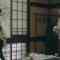 211206 Janai Hou no Kanojo 09 – Nogizaka46 Yamashita Mizuki – HD.mp4-00007