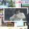 211209 Sakurazaka46’s TV News – THE TIME – HD.mp4-00004