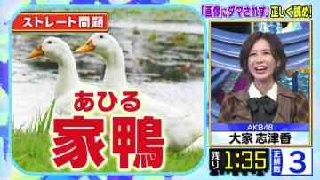 211222 Cream Quiz Miracle 9 2Hours SP – AKB48 Oya Shizuka – HD.mp4-00008