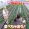 220113 LOVE it! – AKB48 Honda Hitomi Cut – HD.mp4-00001