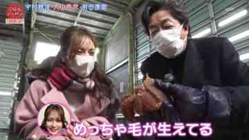 220212 Gohan Japan – AKB48 Iriyama Anna – HD.mp4-00003