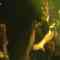 220301 NMB48 Theater Performance 1830 – HD.mp4
