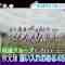 220302 Nogizaka46 & Keyakizaka46’s TV News – ZIP! – HD.mp4-00007