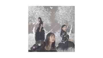 Nogizaka46 – Actually… – Type D