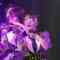 220407 NMB48 Theater Performance 1830 – HD.mp4
